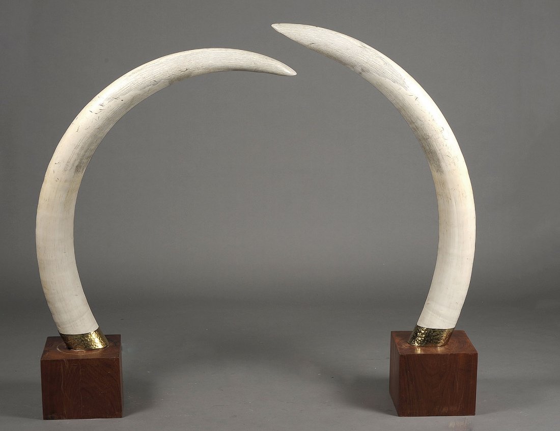 PAIR OF IVORY ELEPHANT TUSKS