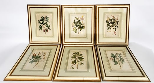 Set of Six French Antique Botanical Hand Colored Engravings