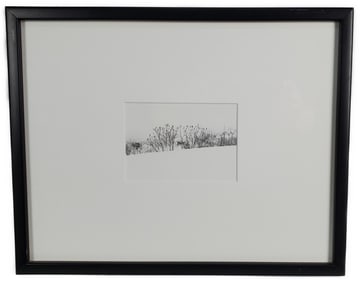 Unknown Artist (20th Century) Trees, Intaglio Print, Sight-3 1/2" x 5', Framed-12" x 14 3/4"