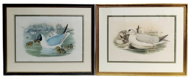 Two John Gould (English, 1804-1881) and Henry Constantine Richter (English, 1821-1902) 19th Century