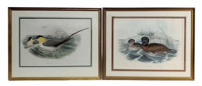 Two John Gould (English, 1804-1881) and Henry Constantine Richter (English, 1821-1902) 19th Century
