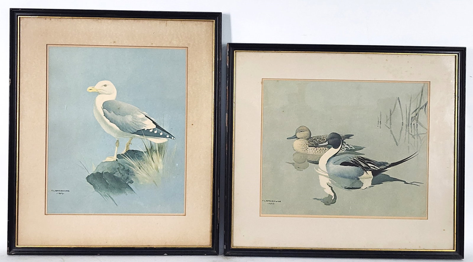 Pair J. F. Lansdowne (Canadian, 1937-2008) Color Prints of Ducks, Sight-12 1/2" x 10 1/4", with: Pair J. F. Lansdowne (Canadian, 1937-2008) Color Prints of Ducks, Sight-12 1/2" x 10 1/4", with Kennedy Galleries, NY labels on the backs, Framed-18" x 15 1/4", some light toning with staining to mats