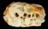 PIERCE CARVED JADE GROUP - 7