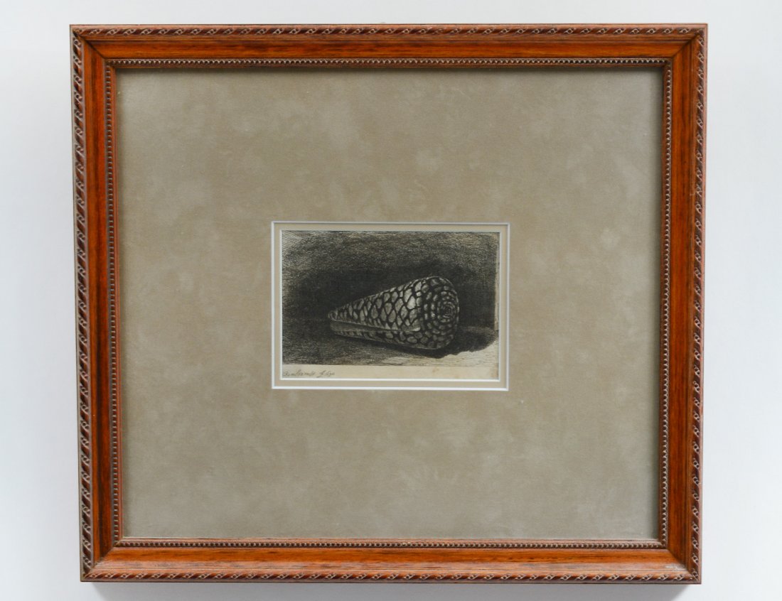 REMBRANDT VAN RIJN (Dutch. 1606-1669): "Seashell". Signed and dated 1650 in plate l/l. Etching. Measuring 3 1/2" by 5 1/4". Framed under glass. (Cond: some toning) (300/500)