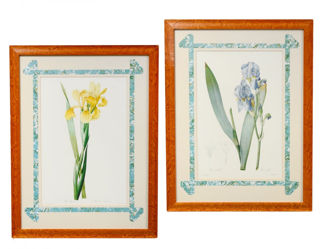 AFTER PIERRE-JOSEPH REDOUTE (French. 1759-1840) (1 of 3)