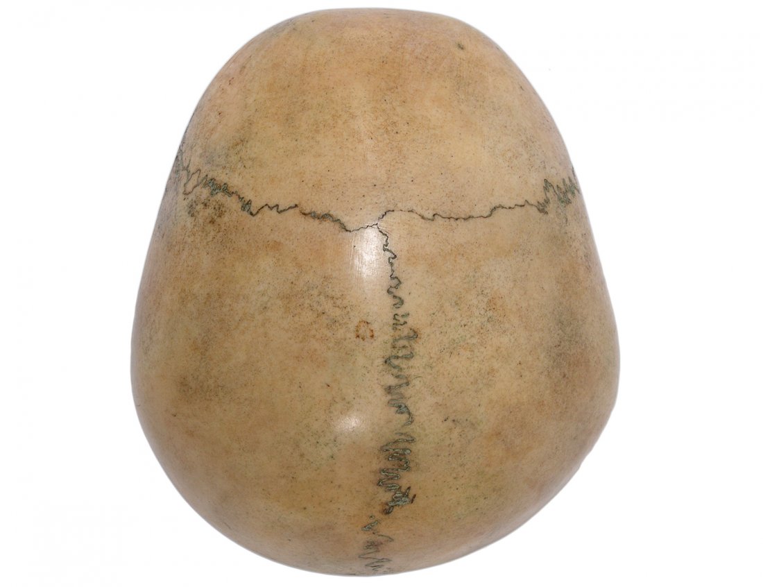 TIBETAN RITUAL KAPALA SKULL (1 of 3)