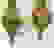 item-41479861=2