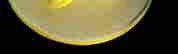 item-44150326=2