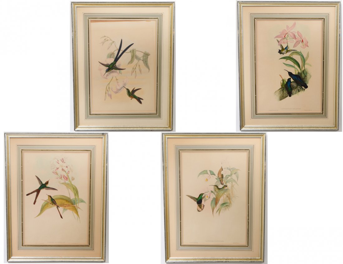 JOHN GOULD (English. 1804-1881) (1 of 10)