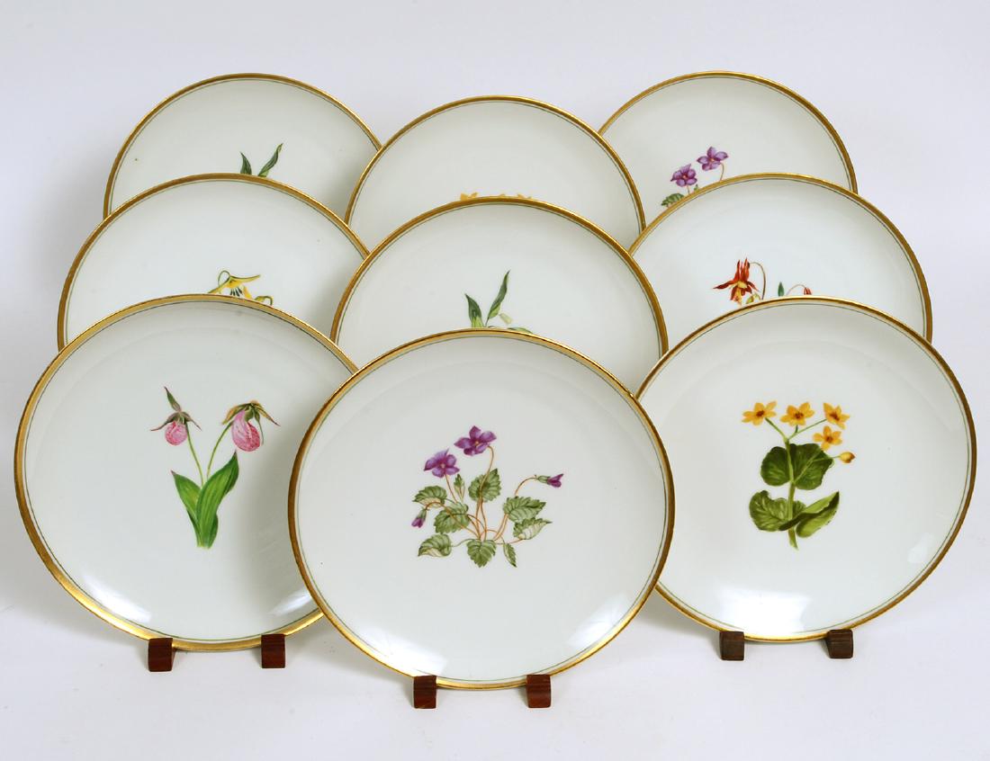 NINE FRENCH PITT PETRI BOTANICAL PORCELAIN PLATES (1 of 11)