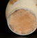 Rare H. SMITH & CO. (Alexandria, VA) Stoneware Jar, - 2