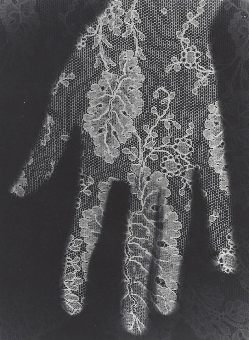 Lace Hand, n.d.: Black and white photo of a hand wearing a lace glove. Medium: Silver print. Measurements: 10 x 8