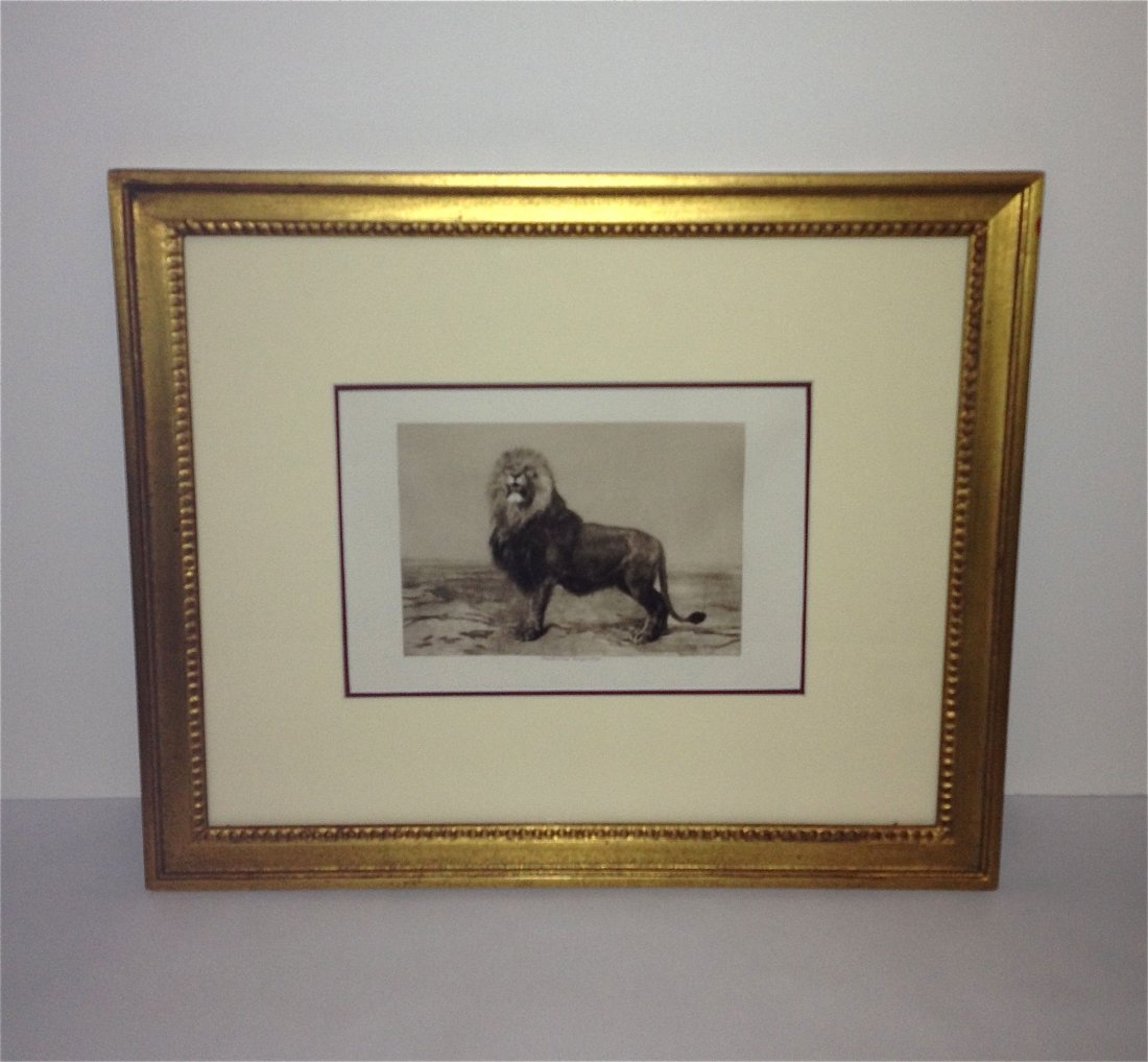 Rosa Bonheur c. 1890: photogravure, 1890, monochromatic lion. Gold frame with cream and maroon double mat. Dimensions: frame- 15.25" x 18" picture- 6.5" x 9.5"