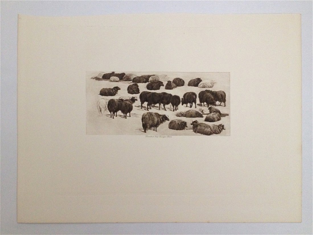 Rosa Bonheur. c. 1900.: photogravure. Many sheep either laying down or standing range from white to black. Dimensions: 13.75" x 10"