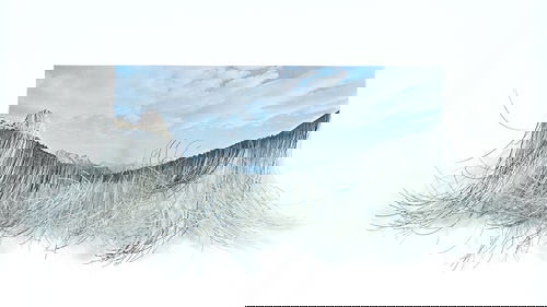 Jonathan Callan (British, b. 1961) Cut Landscape S: Jonathan Callan (British, b. 1961) Cut Landscape Sierra Nevada, 1999; Cut photograph (framed); 6" x 13" (image, irregular); 13" x 19" (board); Provenance: Nicole Klagsbrun, New York (label on verso)