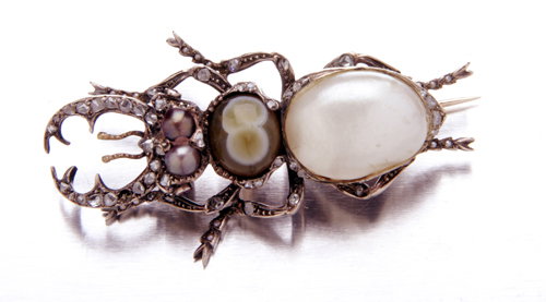 Rare and early Victorian stag horn beatle brooch,