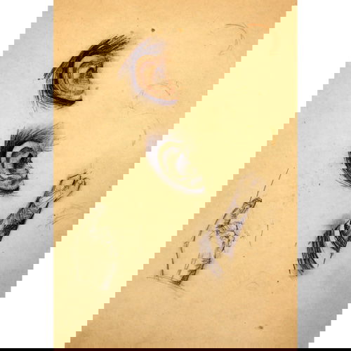 Edward Hopper, Studies of Hands and Ears, charcoal: Edward Hopper (American, 1882-1967), Studies of Hands and Ears, charcoal on paper, 10-1/2 x 8 inches, Provenance: the artist (until 1967); Jo Hopper (until 1968); Private Collection