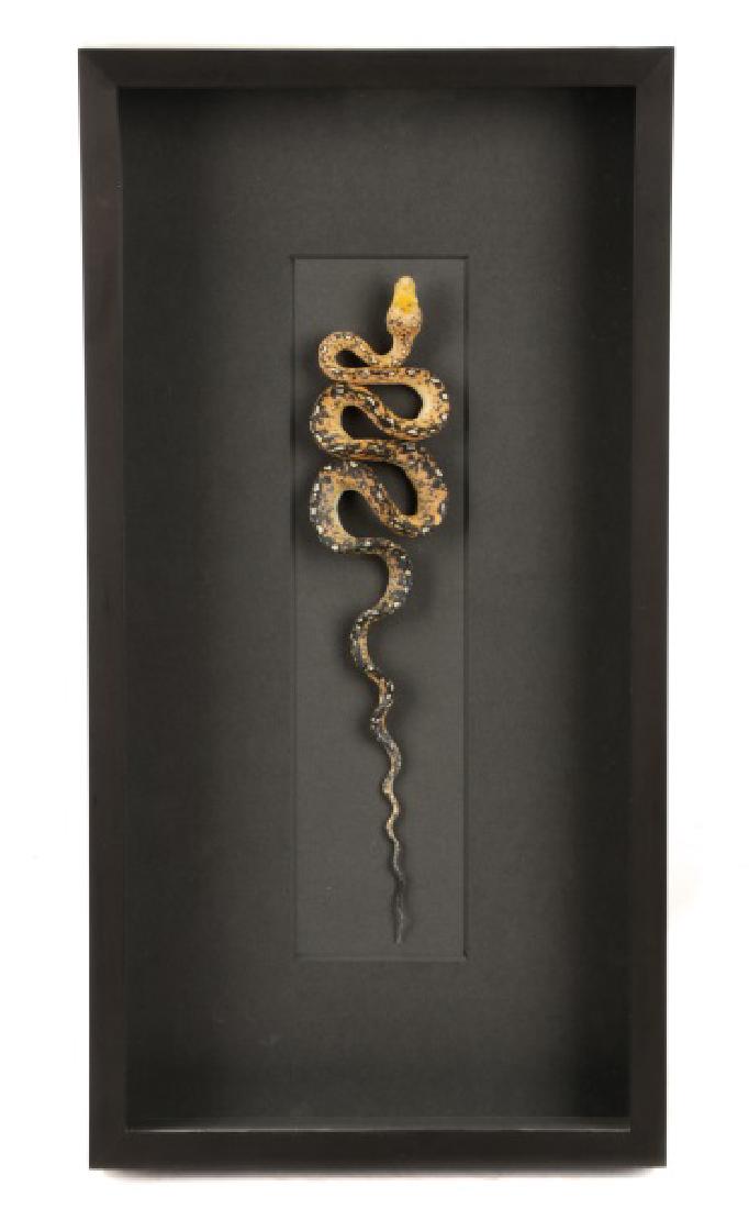 Christopher Marley, Green Tree Python Specimen (1 of 6)
