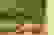 item-53428880=4