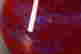 item-56085676=5