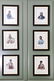 Group of Six Native American Portrait Lithographs