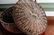 American Hand Woven Basket with Attached Lid - 2