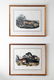 Pair, John James Audubon Bowen Edition Lithographs