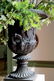 Pair, Medici Style Bronze Garden Urns - 2