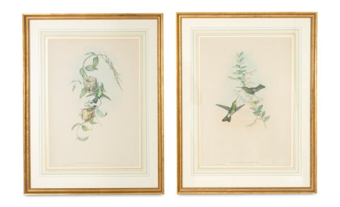 Group,4 Gould & Richter Hummingbird Lithographs (1 of 8)