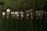112 Pcs Christofle "Printania" Pattern Flatware - 8