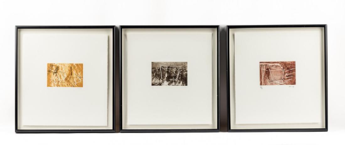 Series of Michael Heizer "Montana Survey" Etchings: Michael Heizer (American, b. 1944) Series of three "Montana Survey" abstract works Two color etchings on paper Each signed in pencil to lower right, all edition 28/55 Each approx. 18.75" x 17.5" (fram