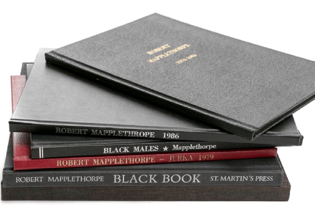 6 Books on Robert Mapplethorpe and JP Witkin (1 of 6)