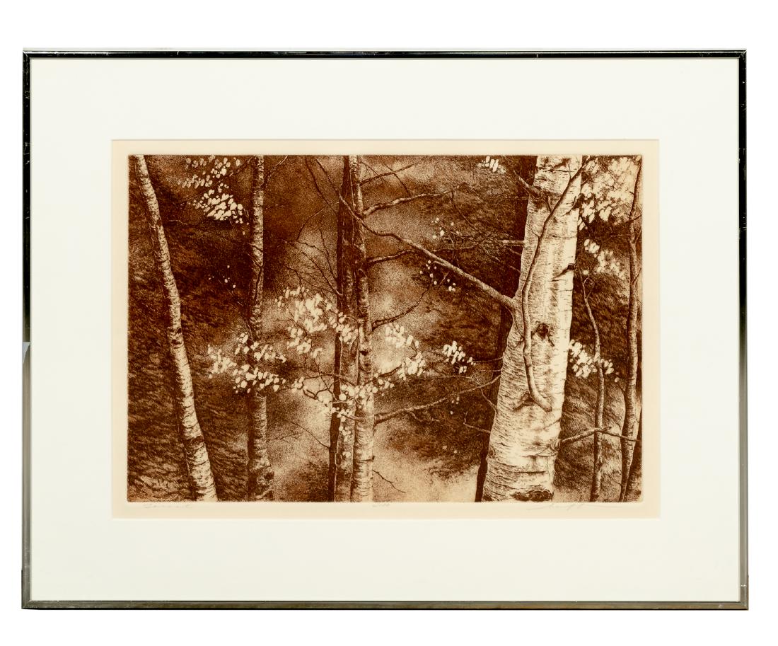 Signed Sepia Tone Forest Print, Hariet Huff (1 of 5)