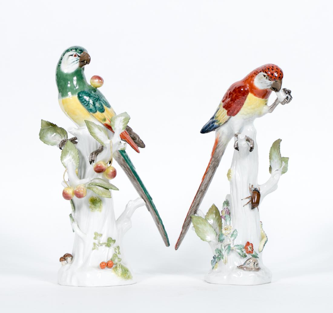 Pair Meissen Porcelain Parakeets (1 of 5)
