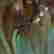 item-65637549=14