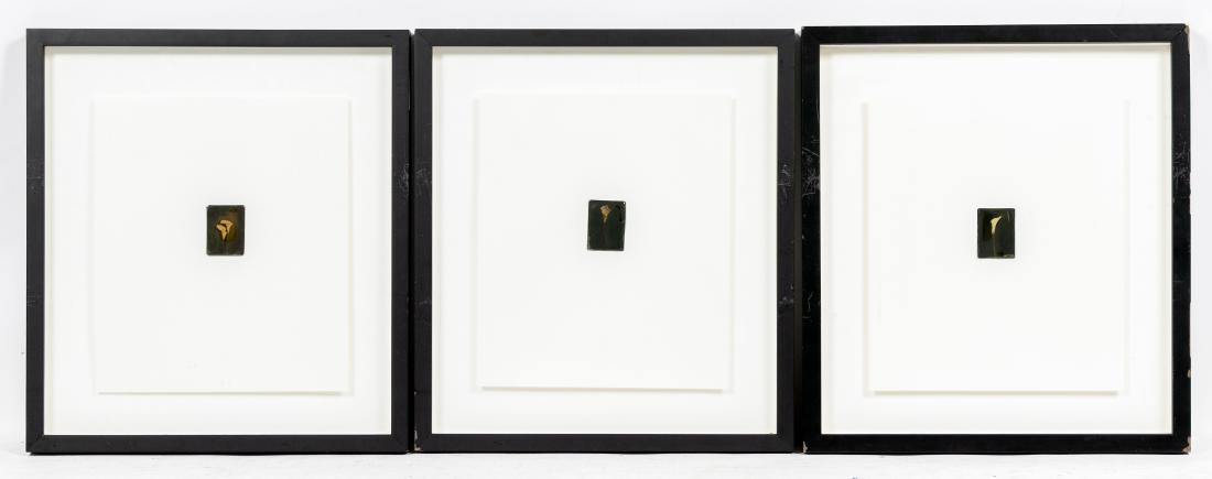 Three Joseph Guay Framed Resin Photographs (1 of 4)