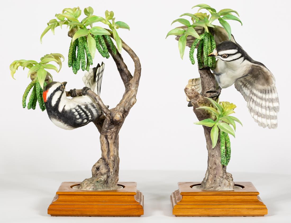 Pair, Doughty Downy Woodpecker Birds w/ Boxes (1 of 6)