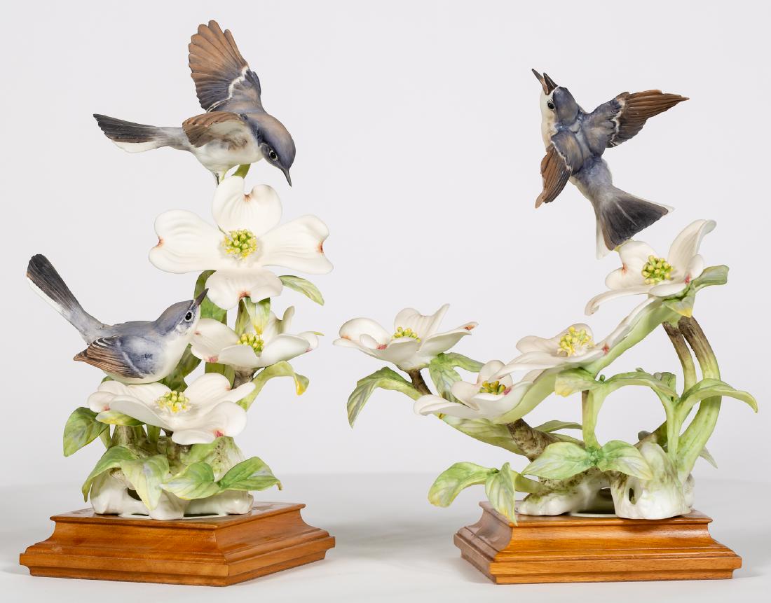Two Dorothy Doughty, Blue-Grey Gnatcatcher Birds (1 of 5)