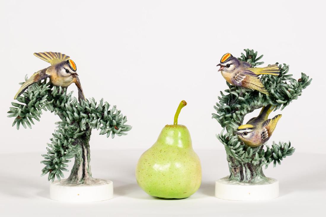 2 Doughty Birds, Golden Crowned Kinglet w/ Boxes (1 of 5)