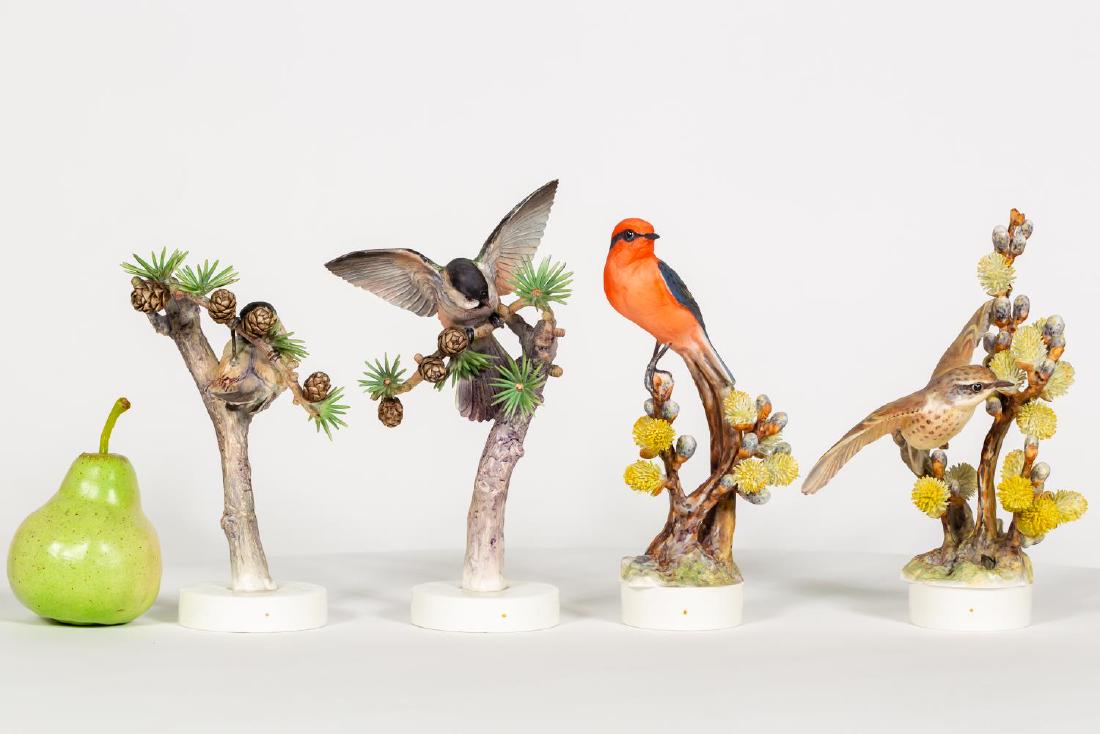 Doughty, 2 Flycatcher, & 2 Chickadee Birds, Boxes (1 of 10)