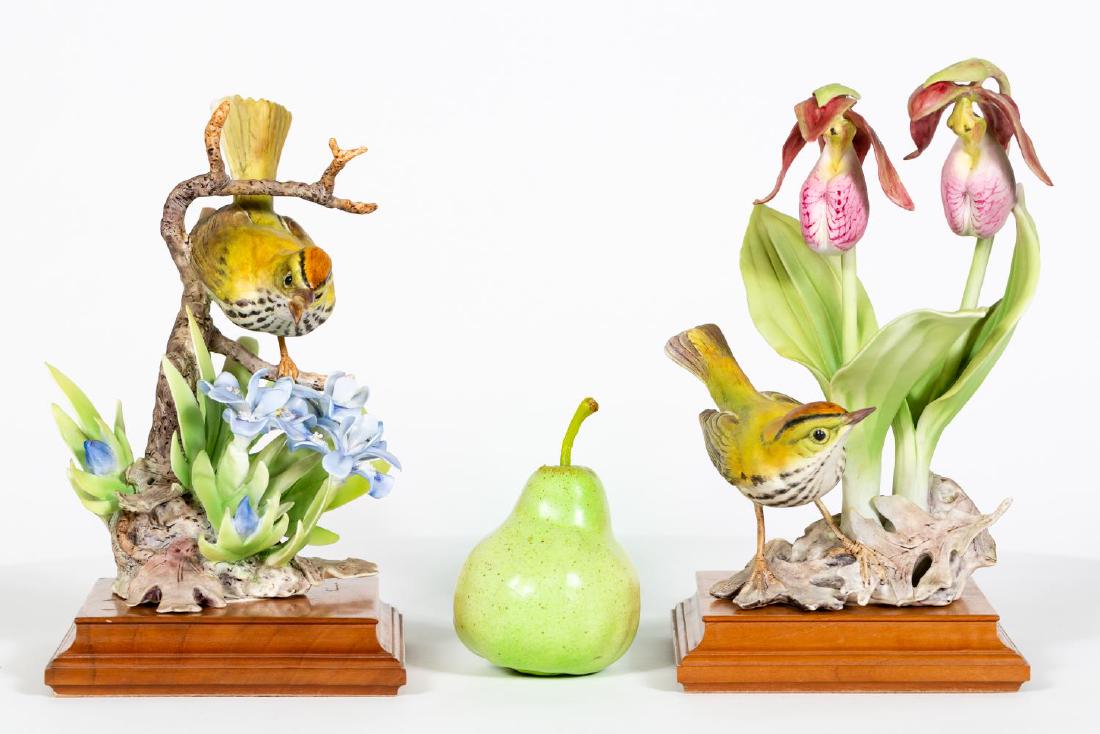 Dorothy Doughty, Two Oven Birds & Flowers w/ Boxes (1 of 6)