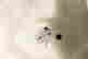item-71437213=5