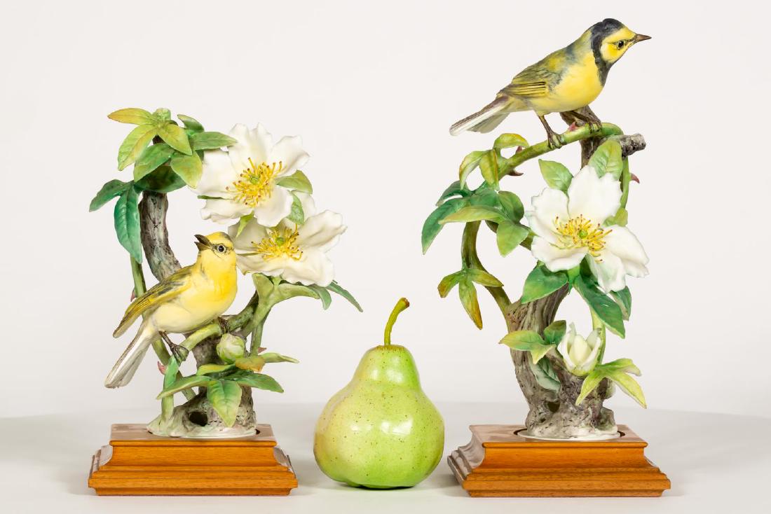 Dorothy Doughty, Two Hooded Warbler & Rose Birds (1 of 8)