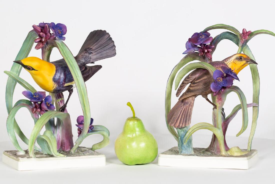 Pair of Dorothy Doughty Yellow Headed Blackbirds (1 of 6)