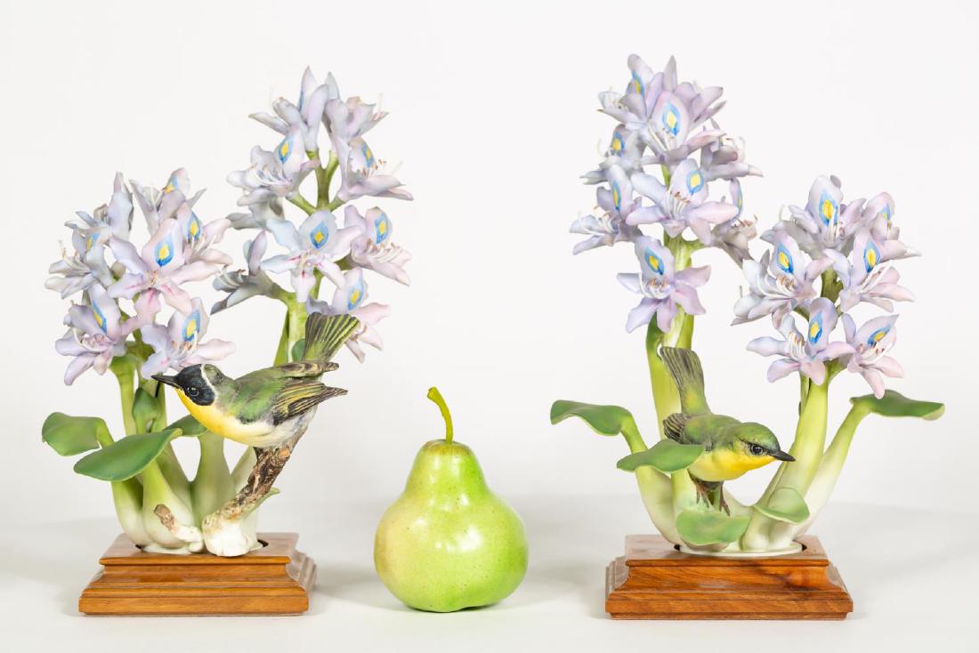 Dorothy Doughty Yellow Throat Birds, w/ Boxes (1 of 8)