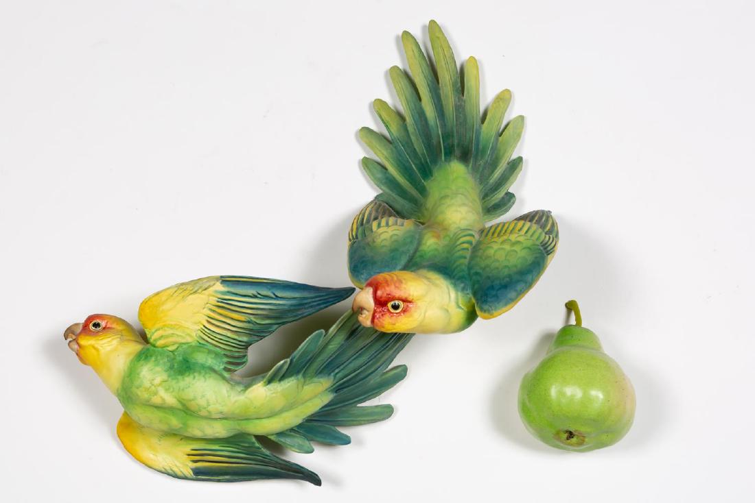 Royal Worcester Doughty Extinct Carolina Paroquets (1 of 5)