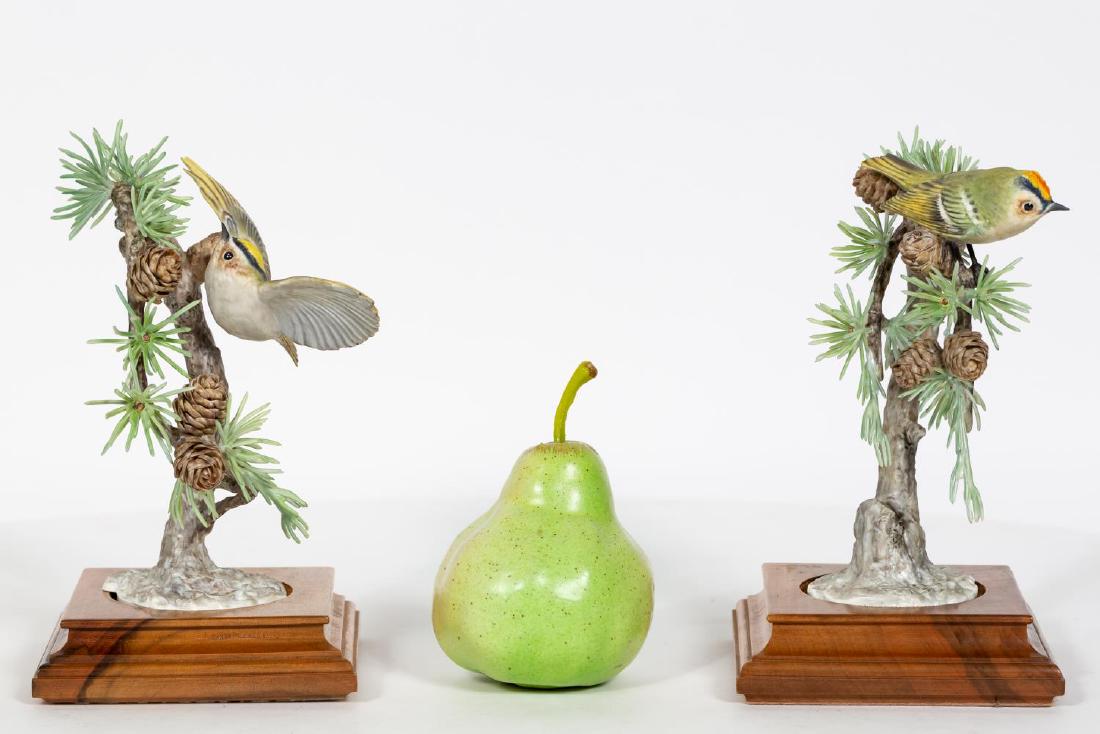 2 Doughty Goldcrests and Larches w/ Stands & Boxes (1 of 7)