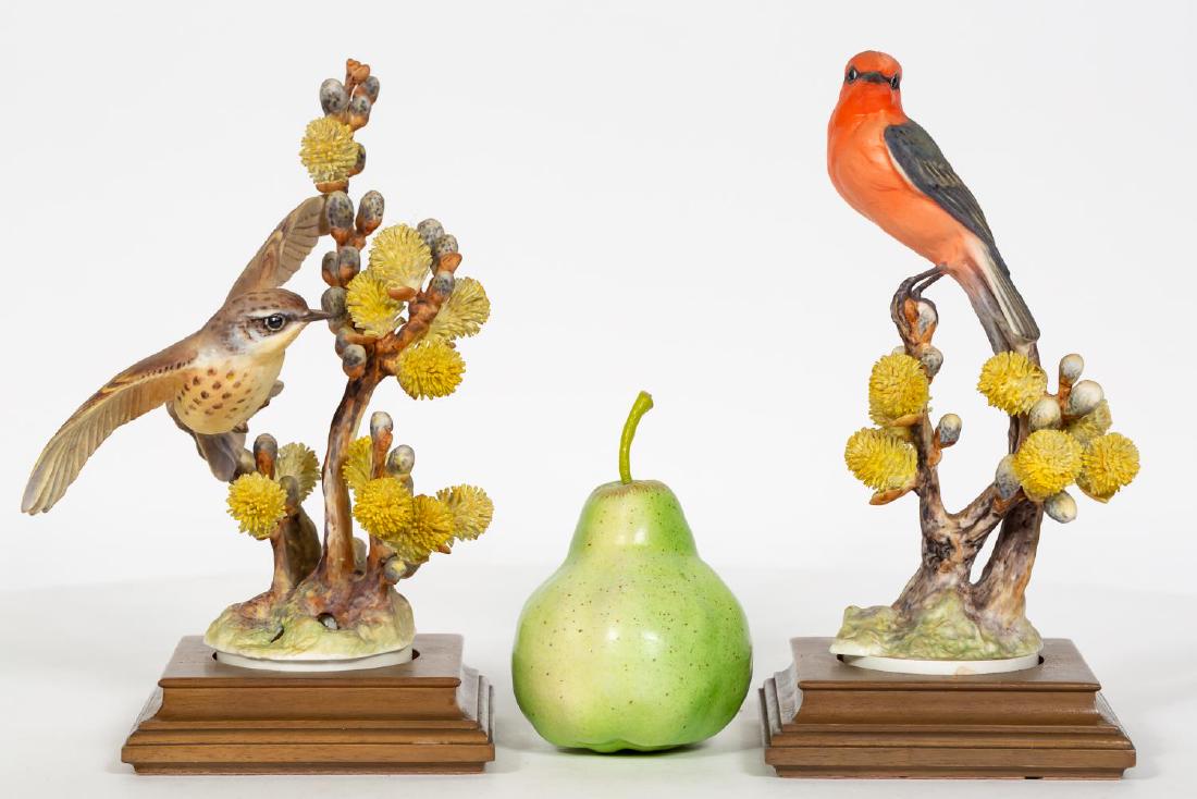 Pair, Doughty Flycatchers w/ Original Boxes (1 of 7)