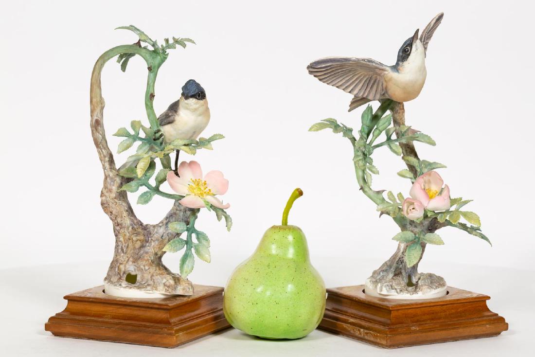 Pair, Doughty Lesser Whitethroats w/ Bases (1 of 6)