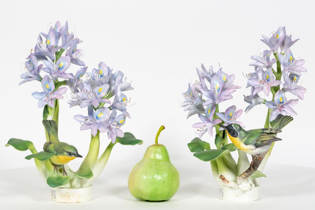 Pair, Doughty Yellowthroat Hen & Cock, w/ Boxes (1 of 9)